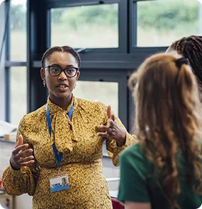 Enseignements supérieurs professionnelle